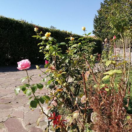Villa Oasi San Giuliano Terme Esterno foto