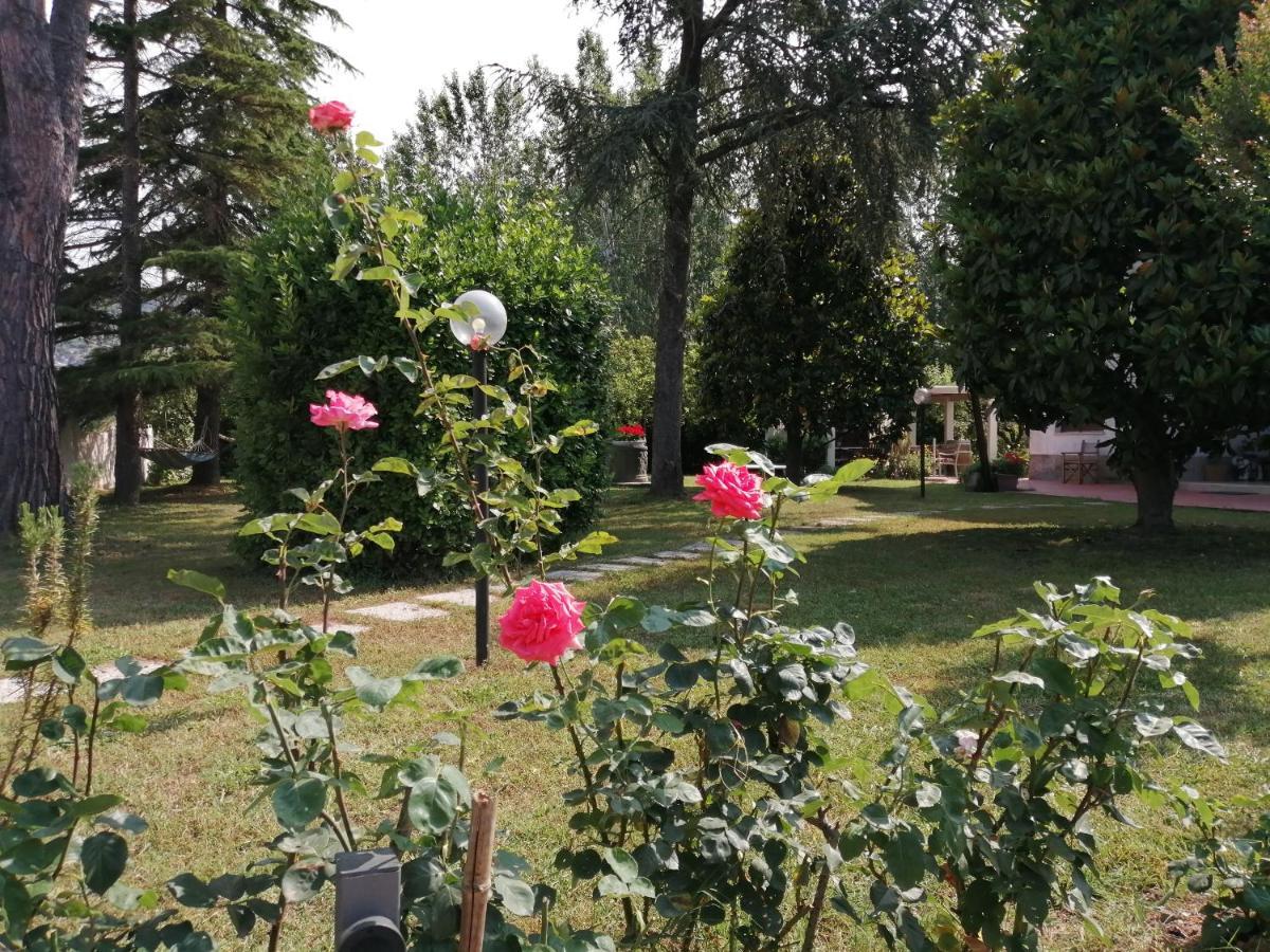 Villa Oasi San Giuliano Terme Esterno foto