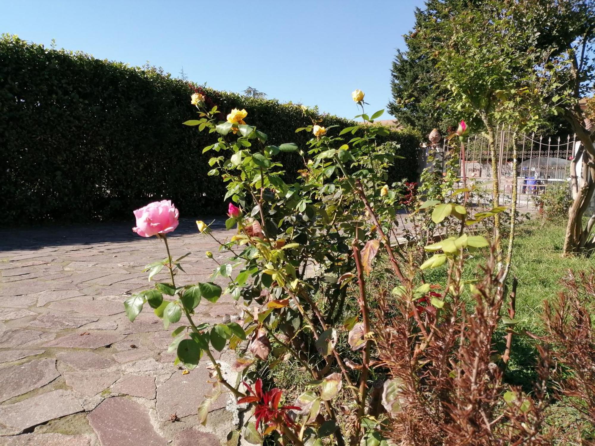 Villa Oasi San Giuliano Terme Esterno foto