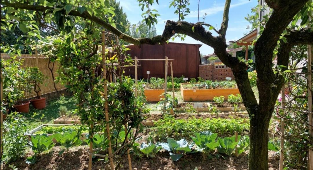 Villa Oasi San Giuliano Terme Esterno foto